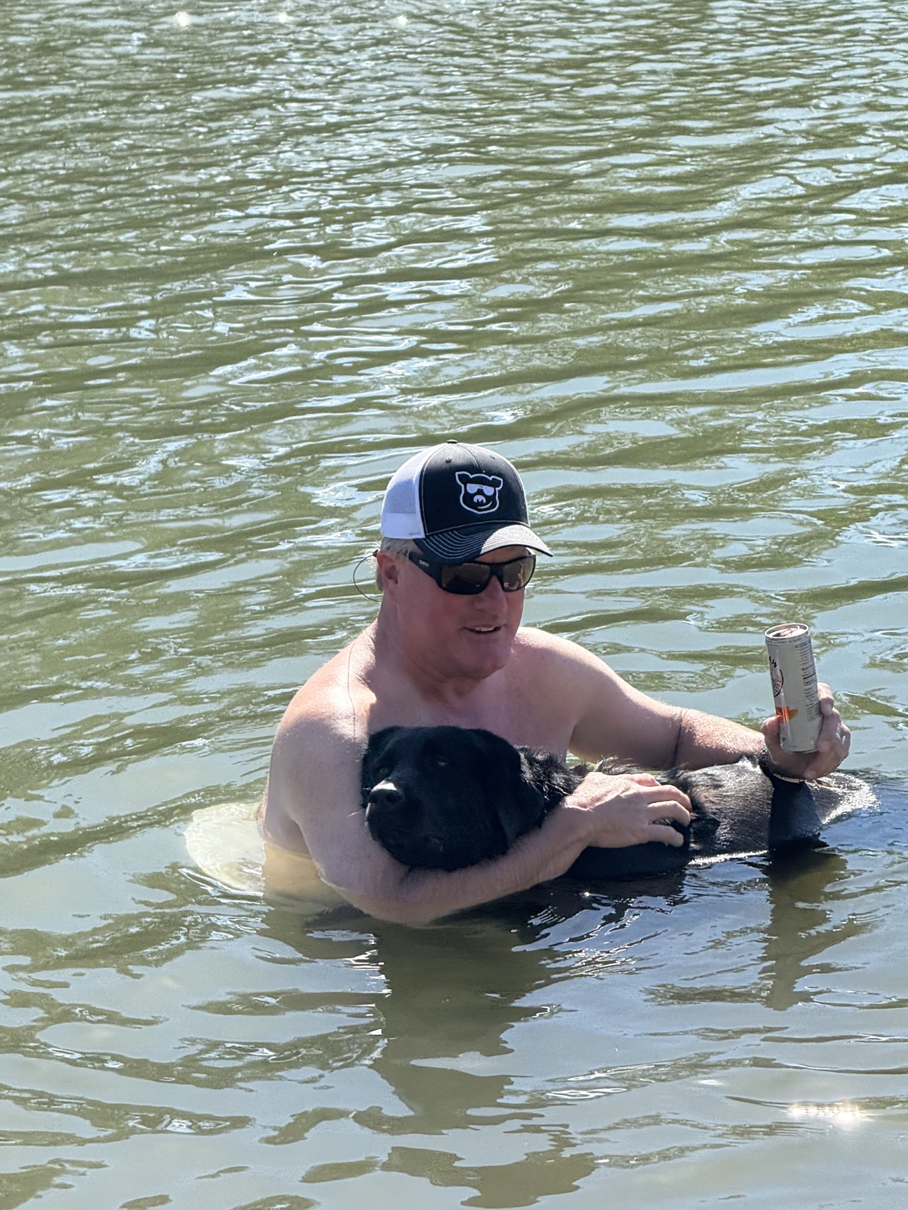 Dog swimming in the river